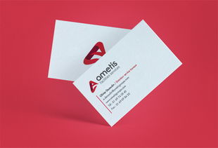 Ametis技術(shù)開發(fā)公司企業(yè)品牌形象設(shè)計(jì)與策劃方案