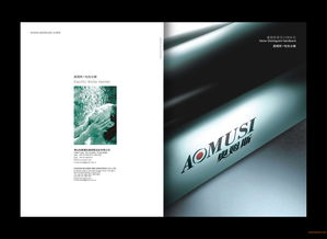 佛山品牌策劃公司 從企業(yè)策劃、形象設(shè)計(jì)到品牌設(shè)計(jì)的全案服務(wù)