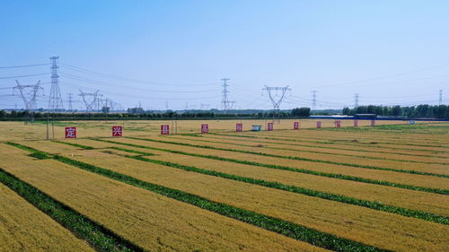 河北保定 科技創(chuàng)新為發(fā)展注入澎湃動(dòng)能